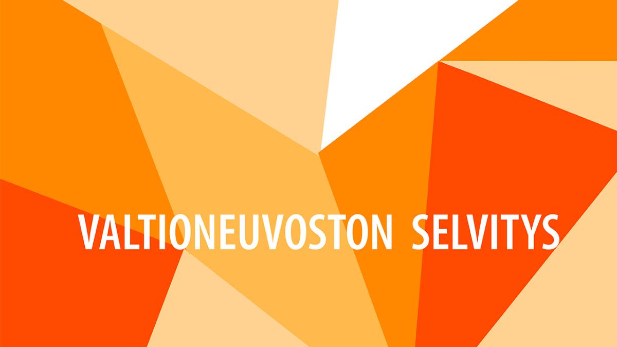 Valtioneuvoston selvityksiä logo
