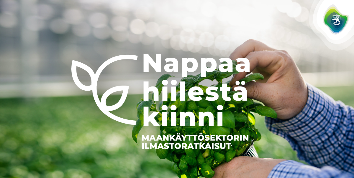 Kuvituskuva