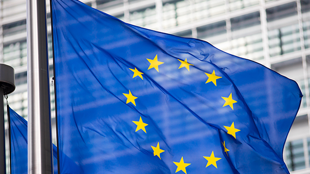 Kuvassa EU lippu