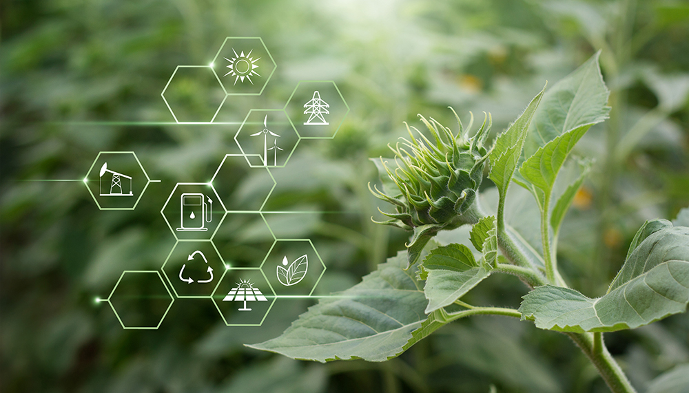 Sketch of renewable energy production forms