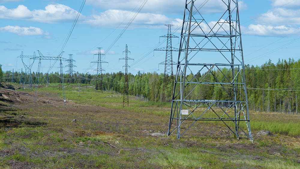 Kraftledning i träskmark